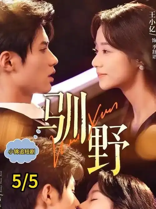 长夜灯下 热播电视剧全集在线观看